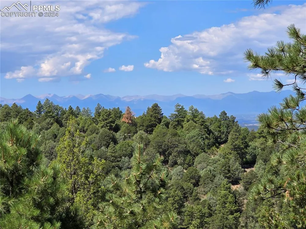 33036 Meadow Ridge Lane Trinidad, CO 81082