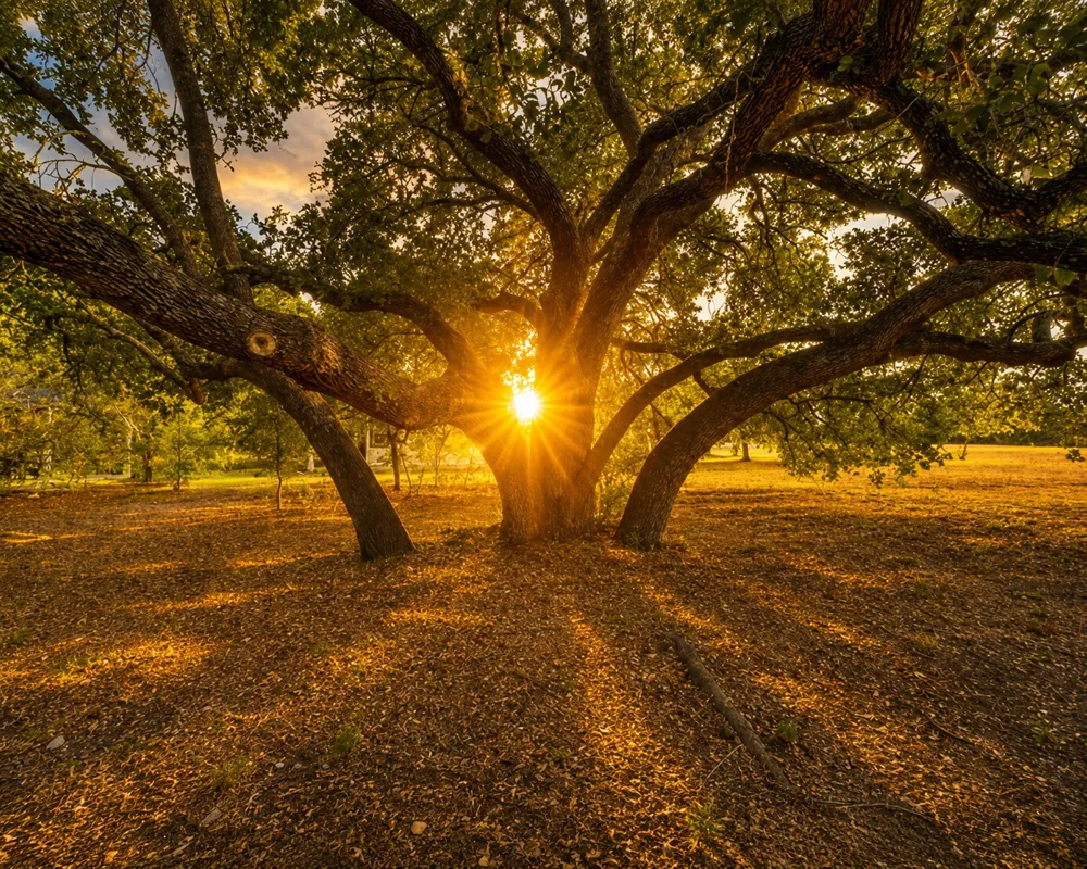 149 CR 103 Lampasas, TX 76550