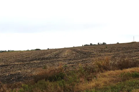 CR 420 Roads