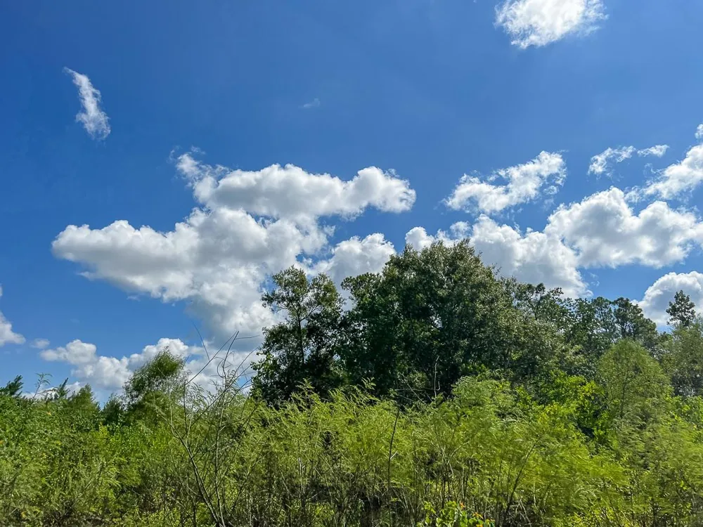 Fm 1010 Cleveland, TX 77327
