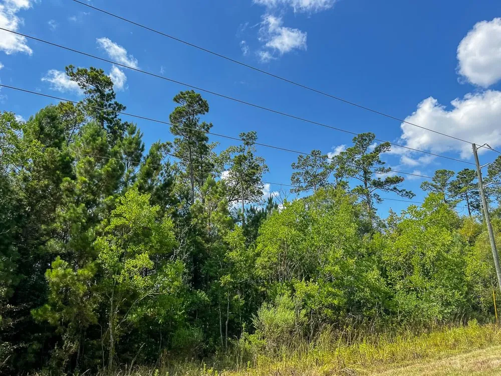 Fm 1010 Cleveland, TX 77327