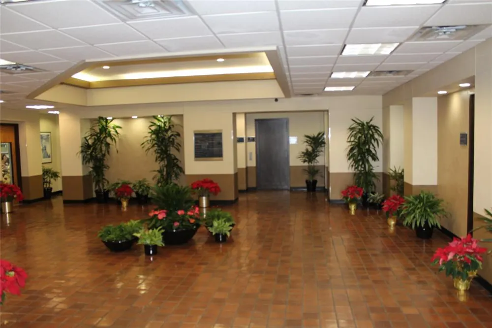 301 S Sherman Street #114 Richardson, TX 75081