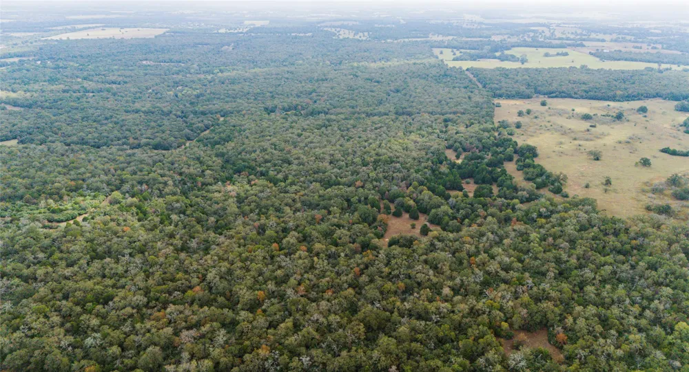 County Road #415 Lexington, TX 78947