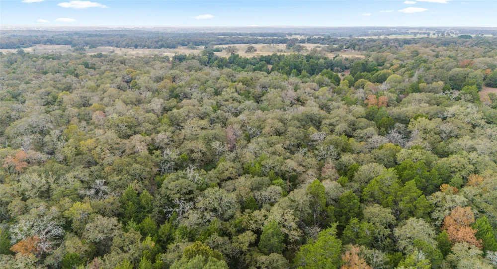 County Road #415 Lexington, TX 78947
