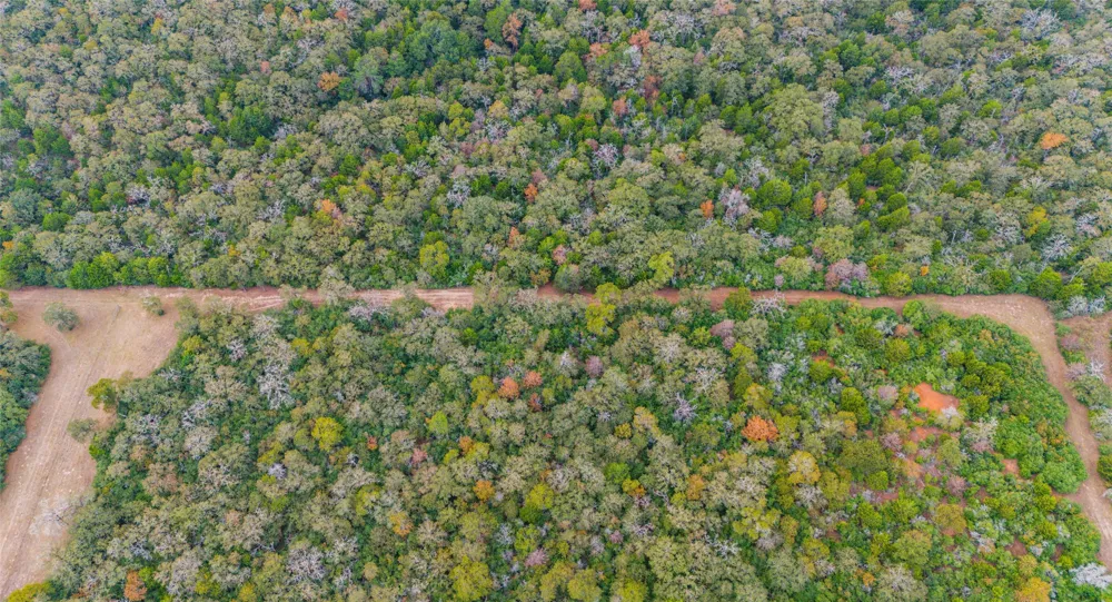 County Road #415 Lexington, TX 78947