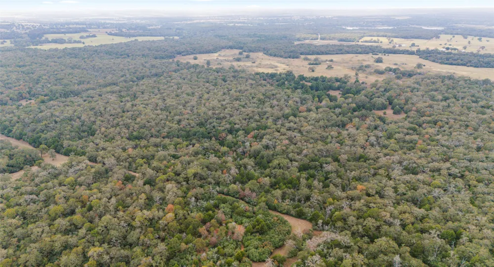 County Road #415 Lexington, TX 78947