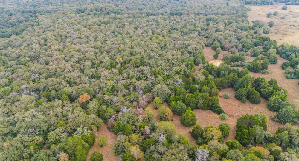 County Road #415 Lexington, TX 78947