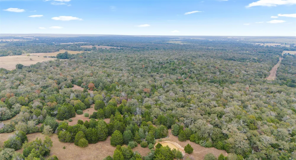 County Road #415 Lexington, TX 78947