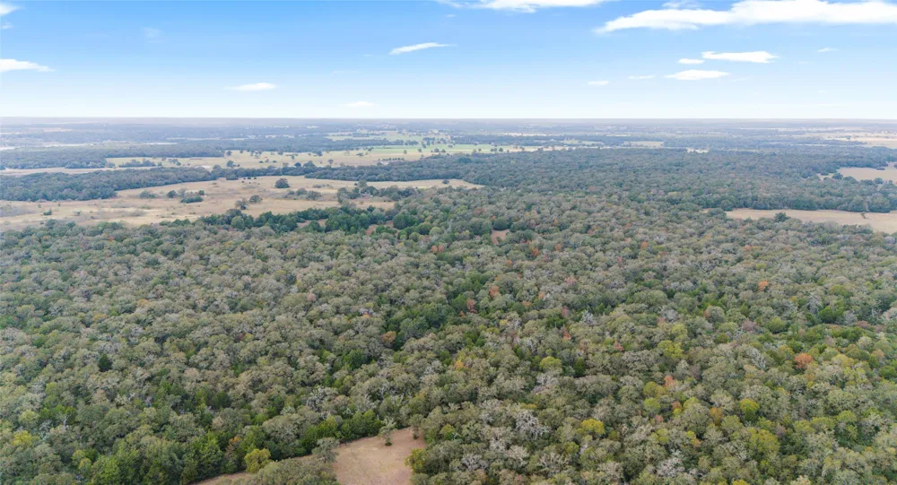 County Road #415 Lexington, TX 78947