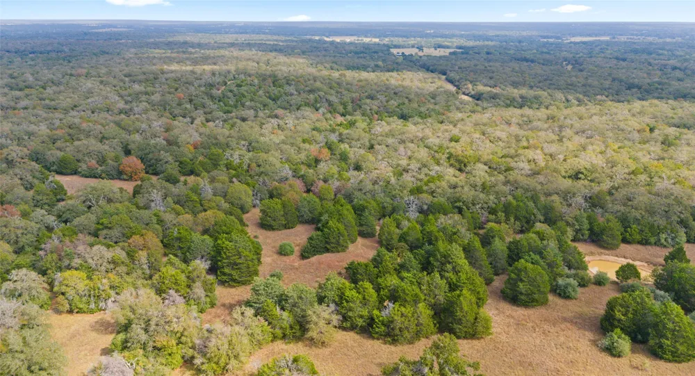 County Road #415 Lexington, TX 78947
