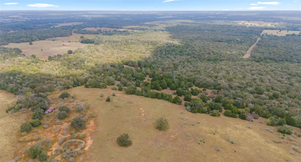 County Road #415 Lexington, TX 78947