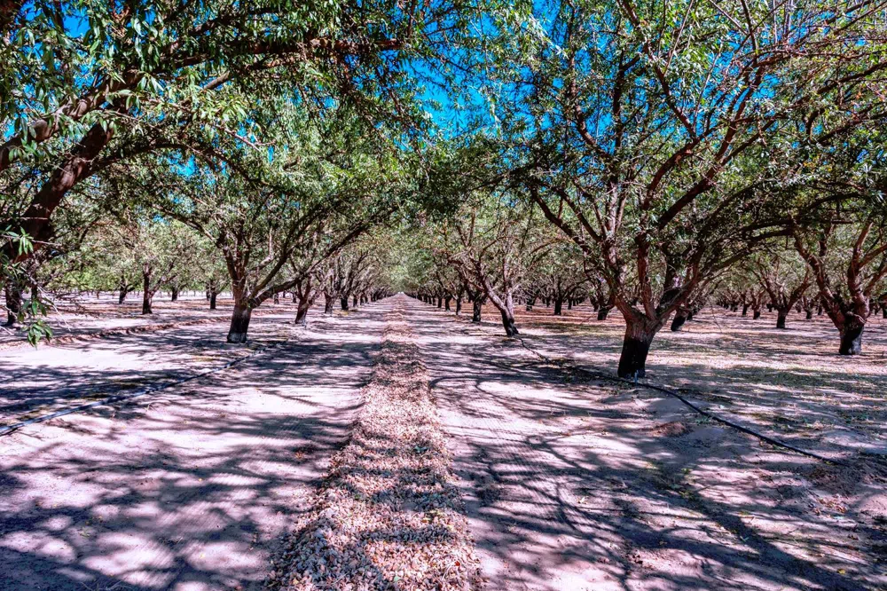 0 White Crane Road Atwater, CA 95301