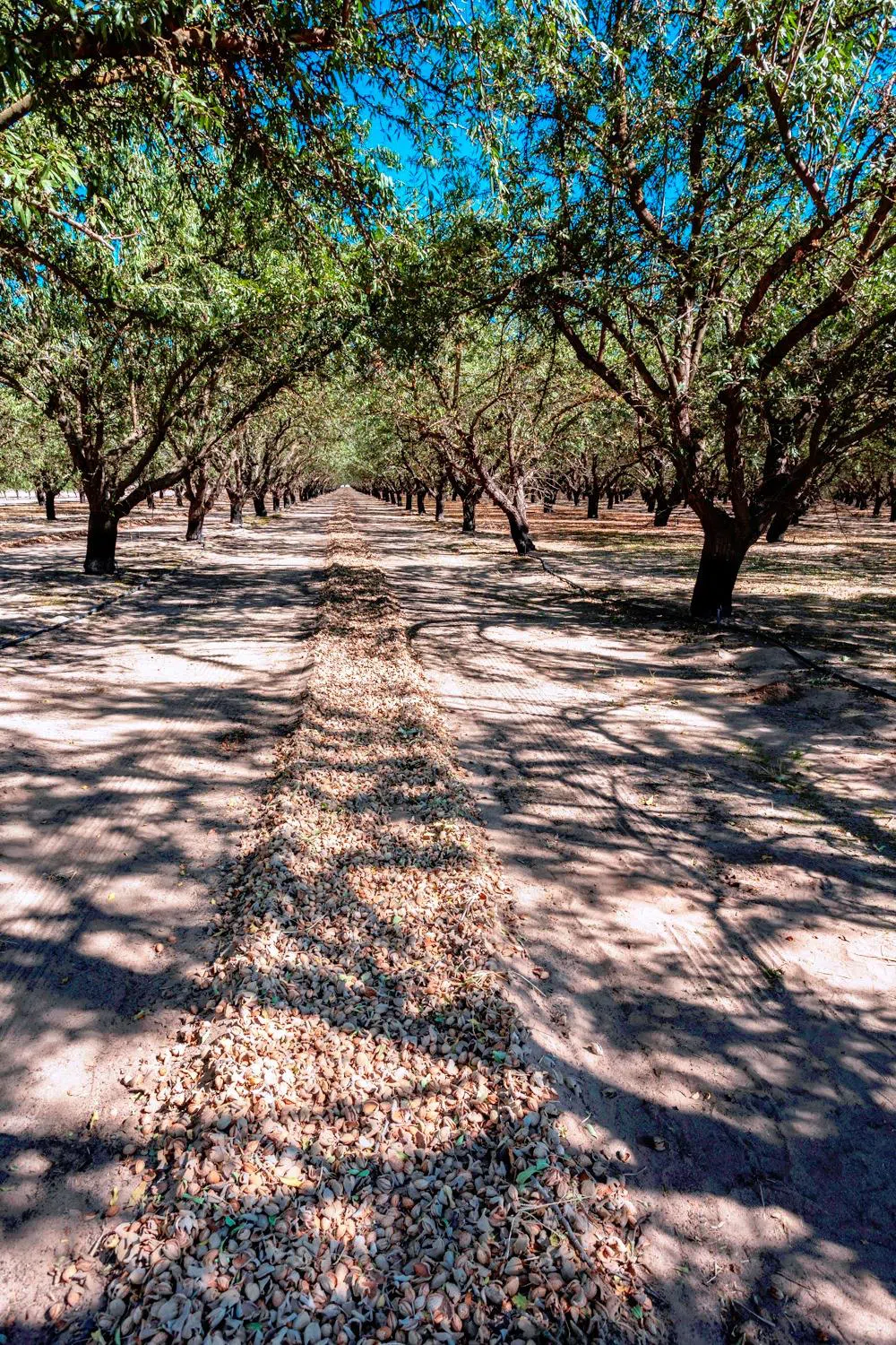 10511 White Crane Road Atwater, CA 95301