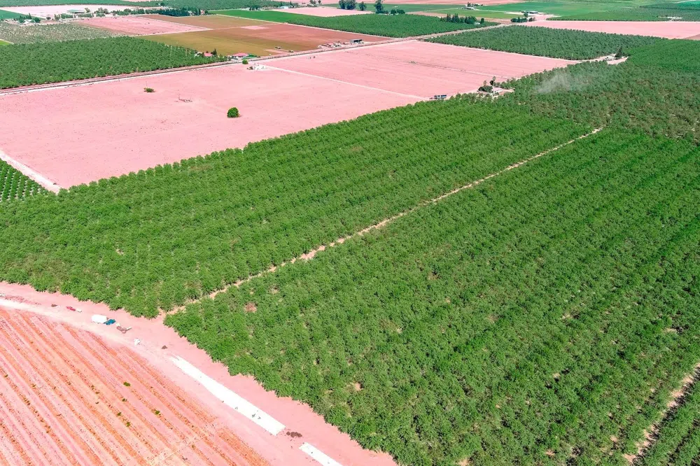 10511 White Crane Road Atwater, CA 95301