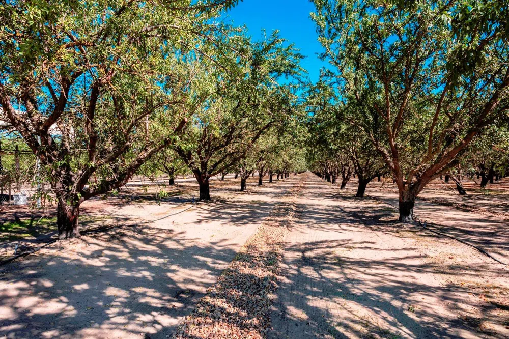 10511 White Crane Road Atwater, CA 95301