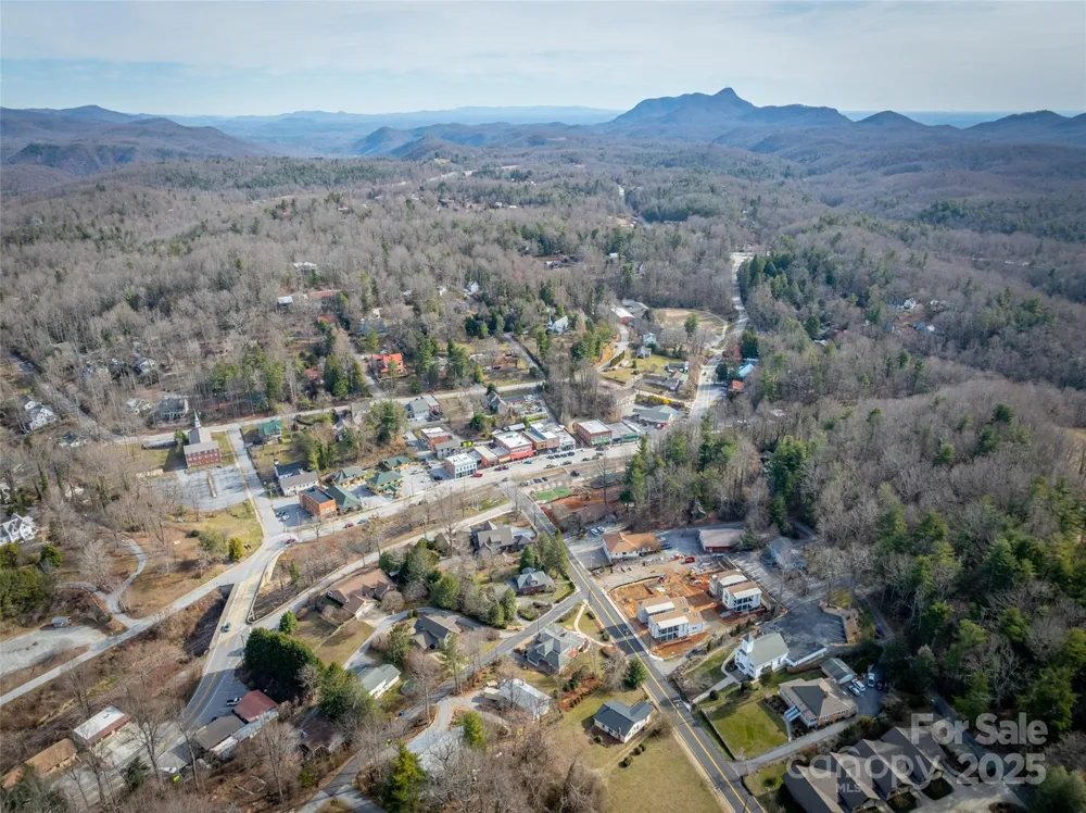 43 Skyvue Court #F Saluda, NC 28773