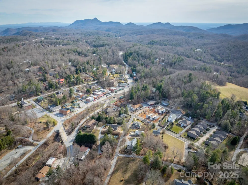 43 Skyvue Court #F Saluda, NC 28773