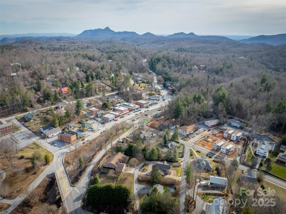 43 Skyvue Court #F Saluda, NC 28773