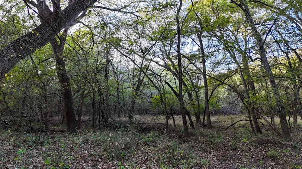 Old Stoney Road Ponder, TX 76259