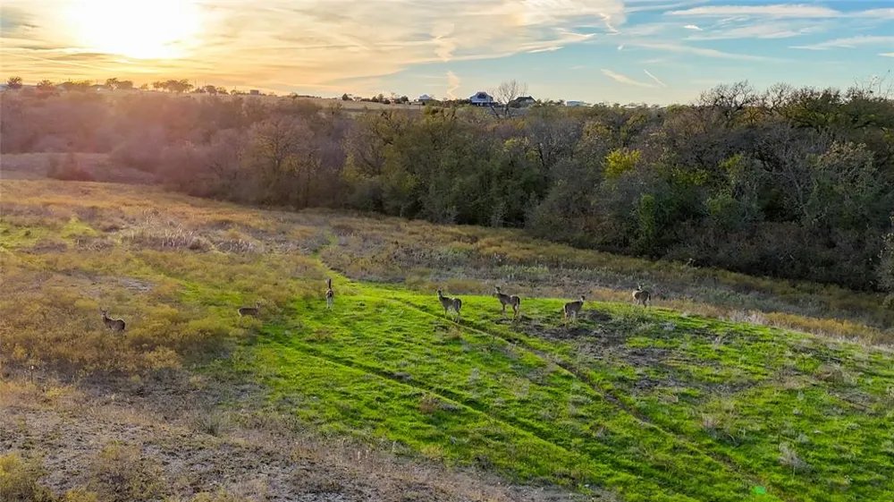 Old Stoney Road Ponder, TX 76259