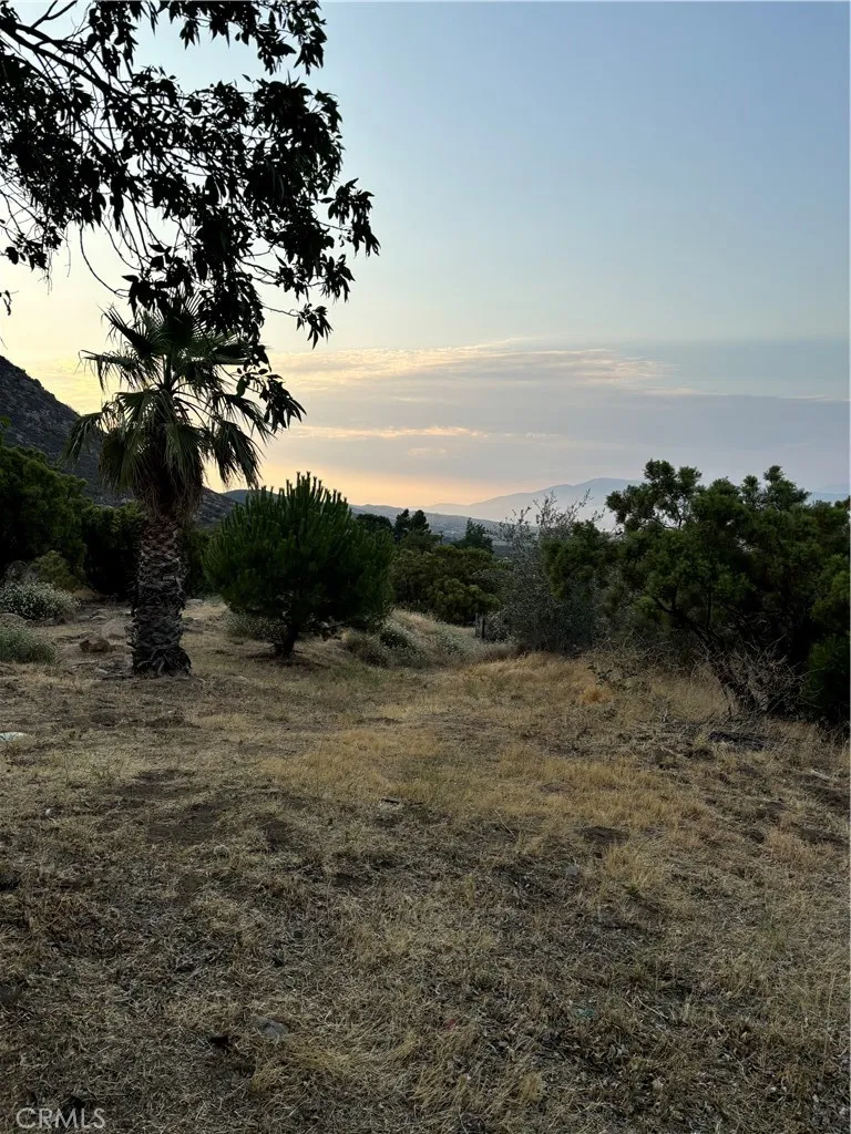 45475 Chapman Rd Anza, CA 92539