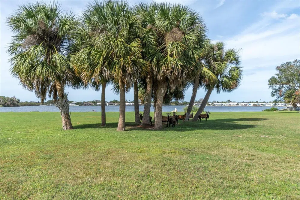 0 SILHOUETTE LANE Holiday, FL 34691