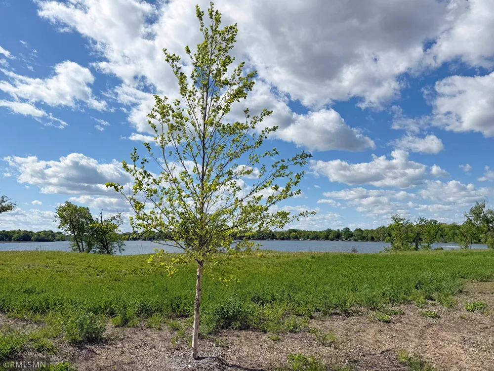 7560 Lake John Drive Annandale, MN 55302