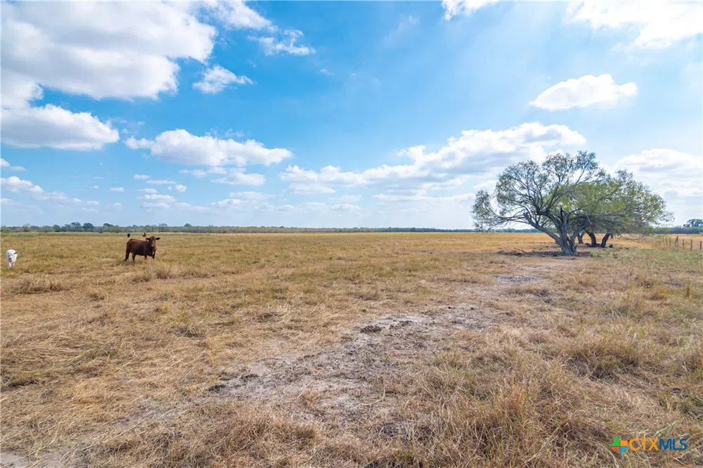 Us-90-Alt Seguin, TX 78155