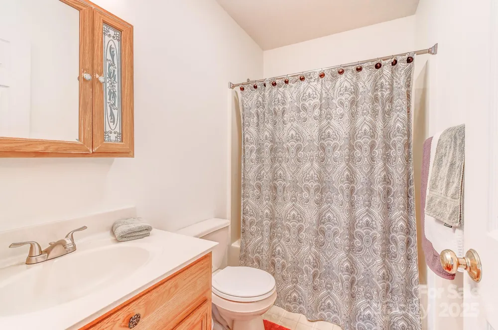 99999 Black Bear Ridge Trail Zirconia, NC 28790
