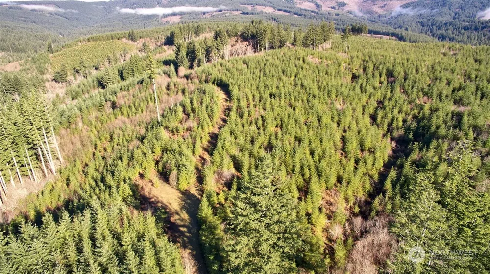 3 NE Jones Creek Road Camas, WA 98601