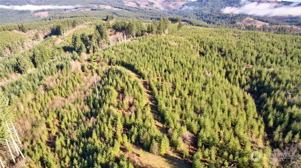 3 NE Jones Creek Road Camas, WA 98601