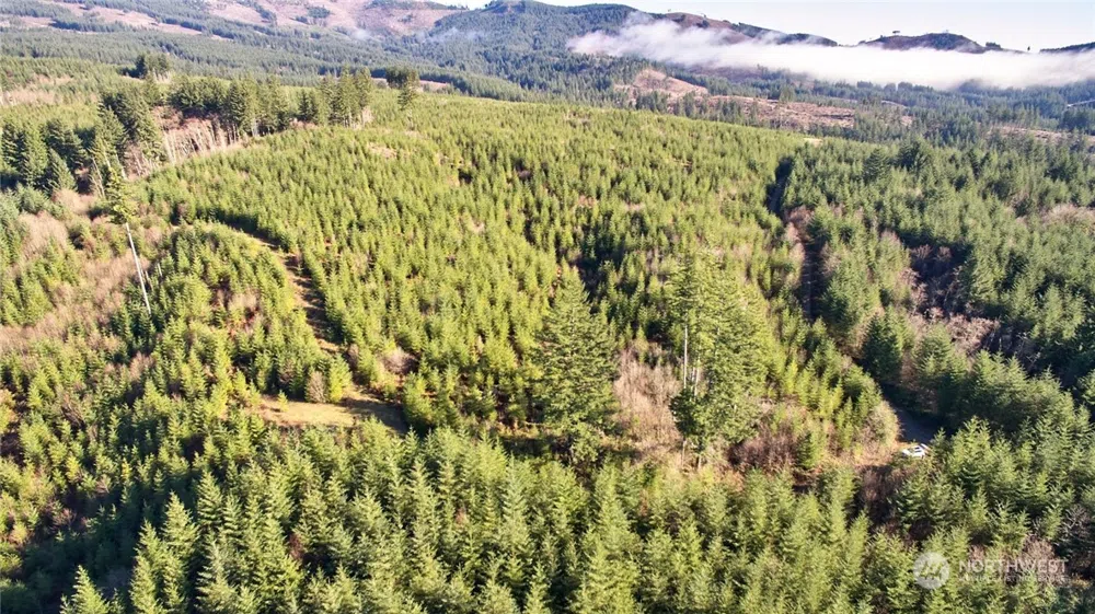 3 NE Jones Creek Road Camas, WA 98601