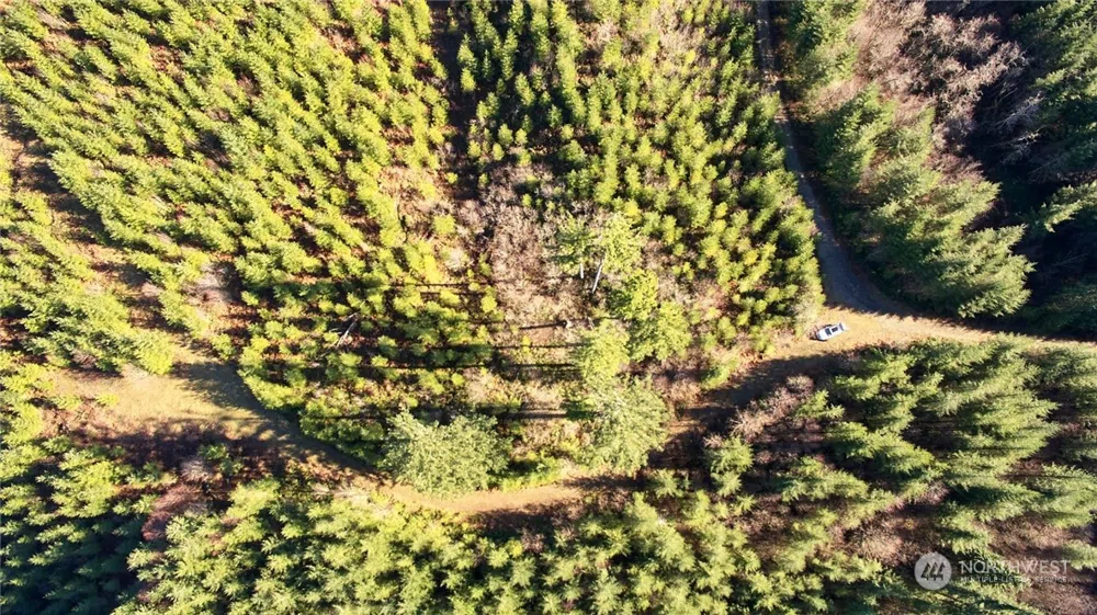 3 NE Jones Creek Road Camas, WA 98601