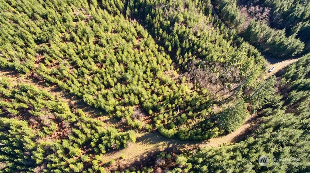 3 NE Jones Creek Road Camas, WA 98601
