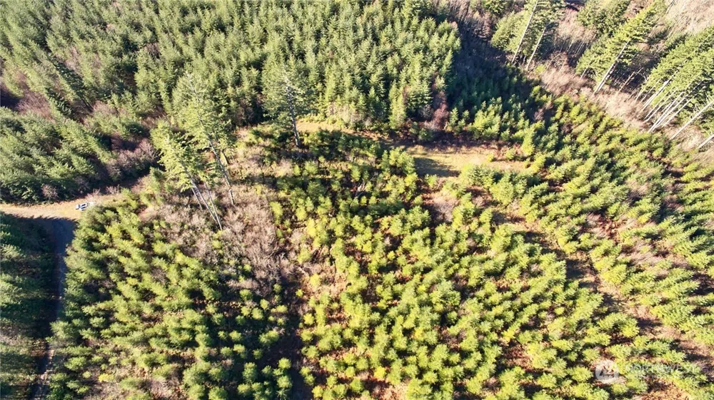 3 NE Jones Creek Road Camas, WA 98601