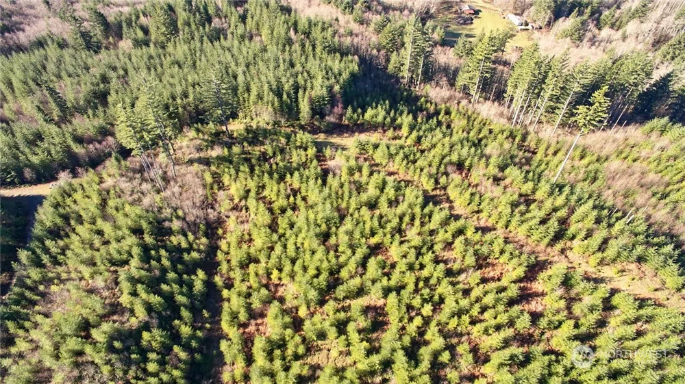 3 NE Jones Creek Road Camas, WA 98601