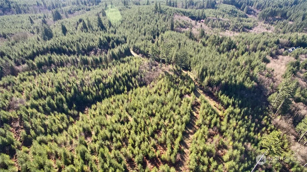 3 NE Jones Creek Road Camas, WA 98601