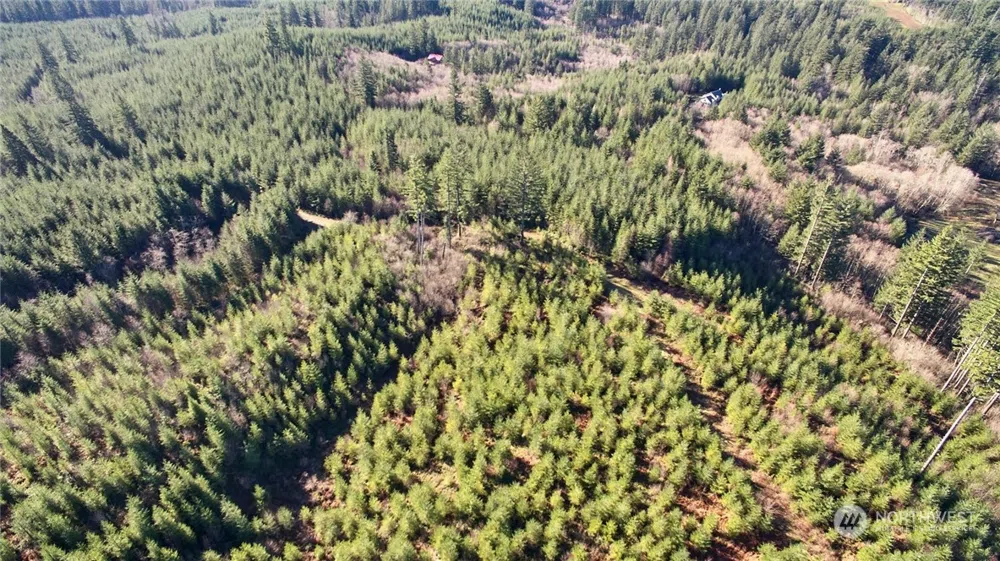 3 NE Jones Creek Road Camas, WA 98601