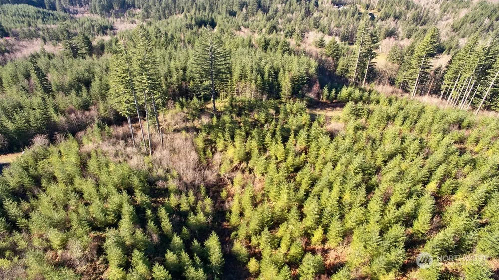 3 NE Jones Creek Road Camas, WA 98601