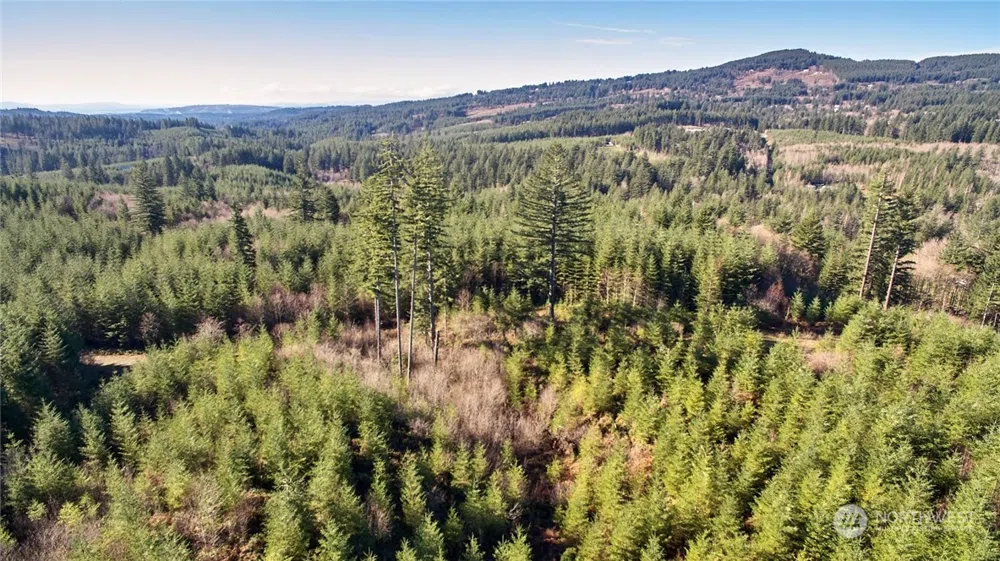 3 NE Jones Creek Road Camas, WA 98601
