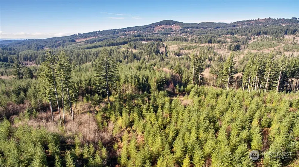 3 NE Jones Creek Road Camas, WA 98601
