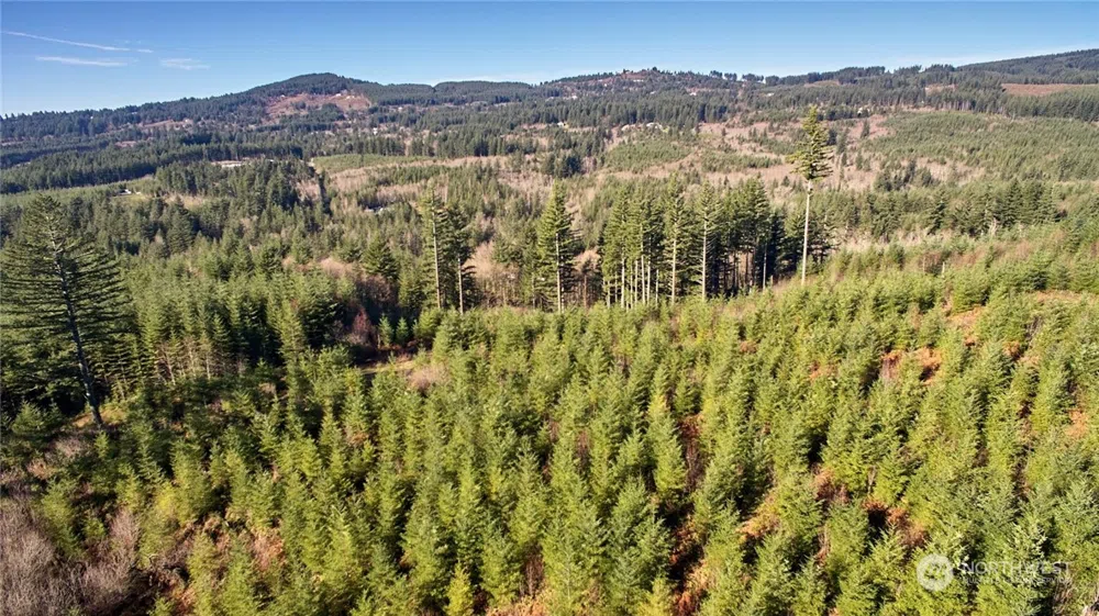 3 NE Jones Creek Road Camas, WA 98601