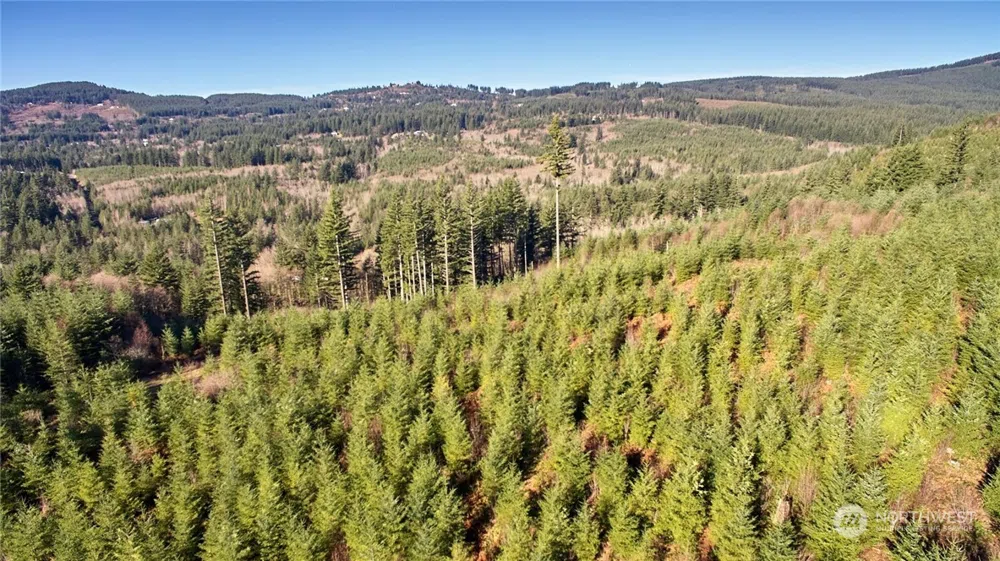 3 NE Jones Creek Road Camas, WA 98601