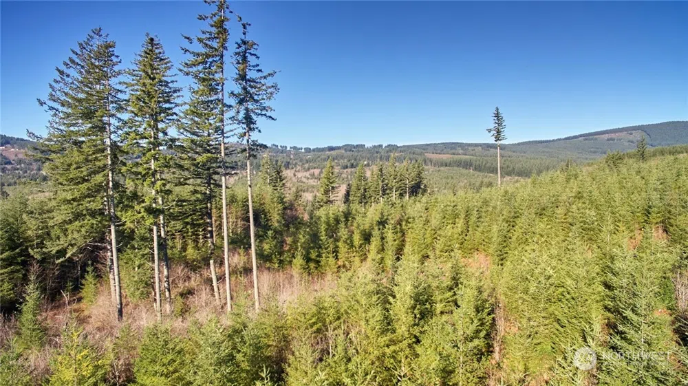 3 NE Jones Creek Road Camas, WA 98601