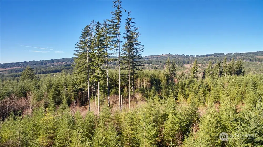 3 NE Jones Creek Road Camas, WA 98601