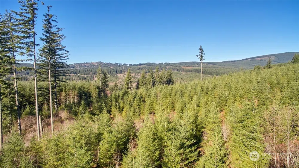 3 NE Jones Creek Road Camas, WA 98601