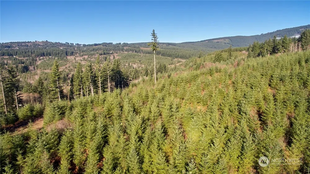 3 NE Jones Creek Road Camas, WA 98601