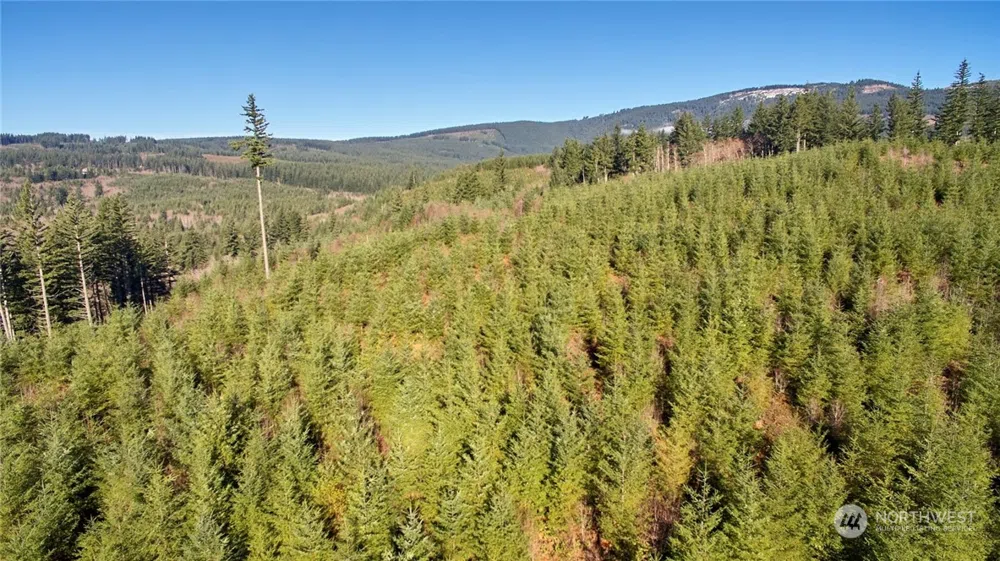 3 NE Jones Creek Road Camas, WA 98601