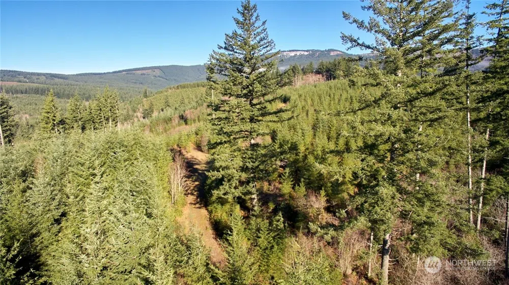 3 NE Jones Creek Road Camas, WA 98601