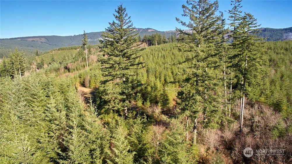 3 NE Jones Creek Road Camas, WA 98601